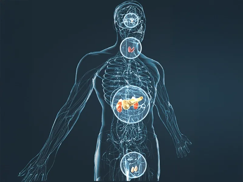 Male body wellness illustration